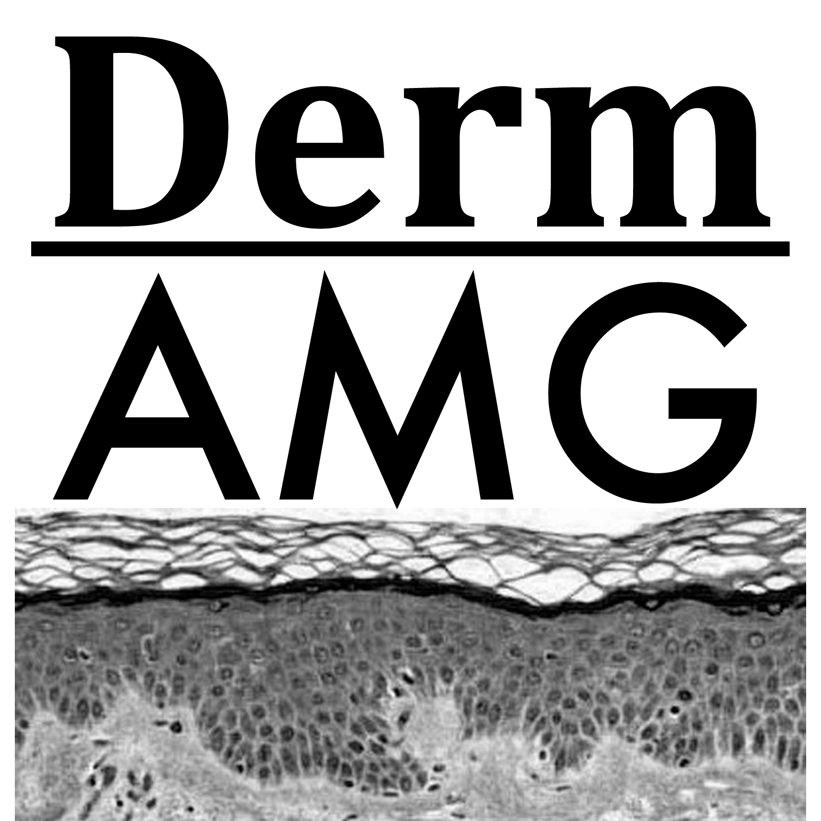 AMG Dermatología y Venereología